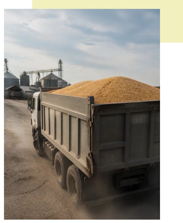 Перевозка сельхозпродукции навалом в Усолье-Сибирское по цене от 3096 р. | Агросервис-Сль